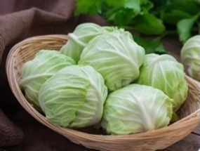 Bắp Sú