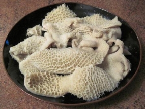 Bao tử bò