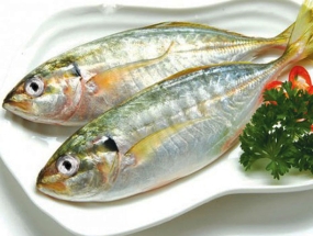 Cá bạc má