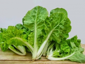 Cải bẹ dún
