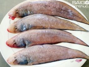Cá lưỡi câu