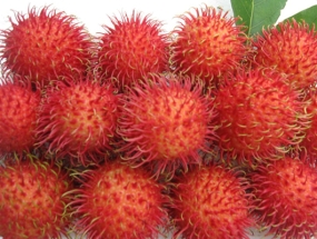 Chôm Chôm