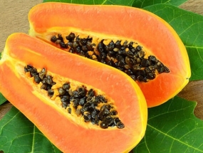 Đu Đủ