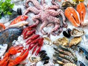 Thủy Sản Tưới Sống