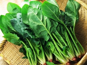 Cải bó xôi