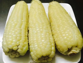 Bắp nấu