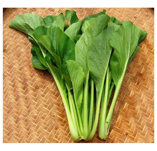 Cải ngọt