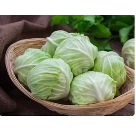 Bắp Sú