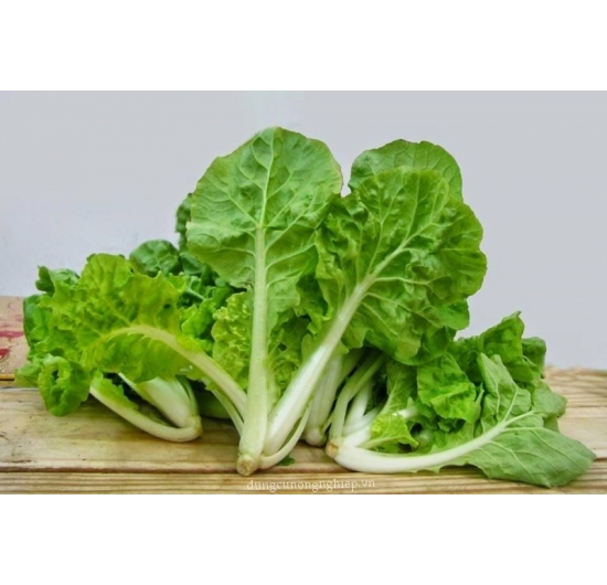 Cải bẹ dún