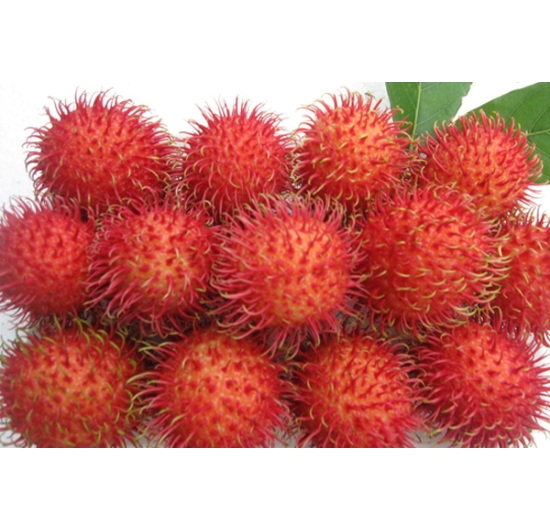 Chôm Chôm